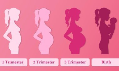 Pregnancy Tips: गर्भावस्था के दौरान इन चीजों को करने से स्वस्थ बच्चे को जन्म मिलेगा