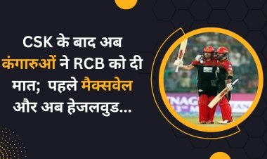 Josh Hazlewood IPL 2023 RCB : CSK के बाद अब कंगारुओं ने RCB को दी मात;  पहले मैक्सवेल और अब हेजलवुड...
