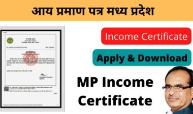 आय प्रमाण पत्र क्या है: जानिए ऑनलाइन आवेदन कैसे करें, प्रक्रिया और आवश्यक दस्तावेज