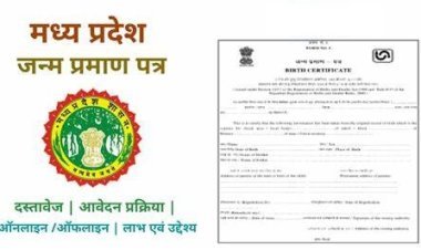 जन्म प्रमाणपत्र ऑनलाइन कसे बनवाए पूरी प्रक्रिया मात्रा एक लेख में जाने 