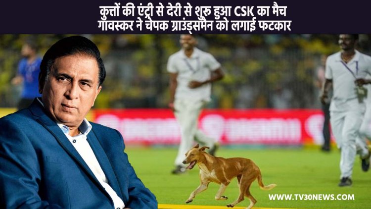 IPL 2023: कुत्तों की एंट्री से देरी से शुरू हुआ CSK का मैच, गावस्कर ने चेपक ग्राउंड्समैन को लगाई फटकार