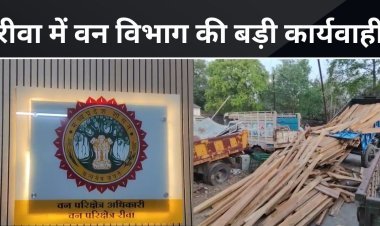 Forest: रीवा में वन विभाग की बड़ी कार्यवाही जप्त की लाखों की लकड़ी